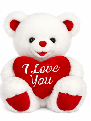 I Love You Teddy Bear Plushie